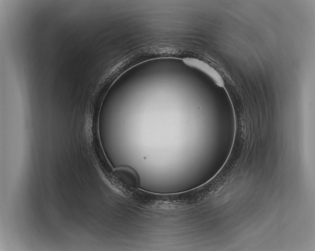 X0000113550538200909181201