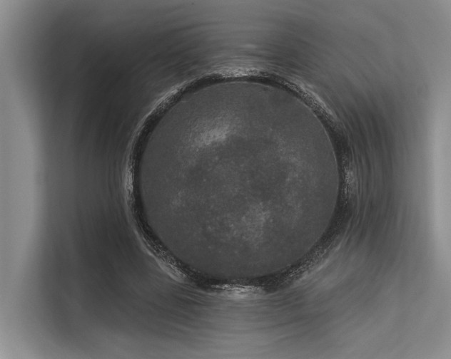 X0000113550539200909181201