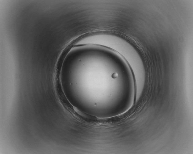 X0000113550540200909181201