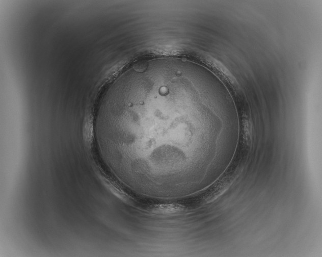 X0000113550541200909181201