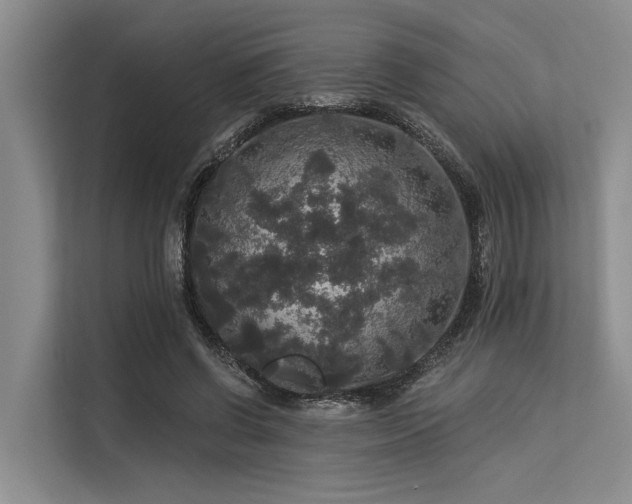 X0000113550542200909181201