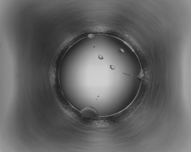 X0000113550544200909181201