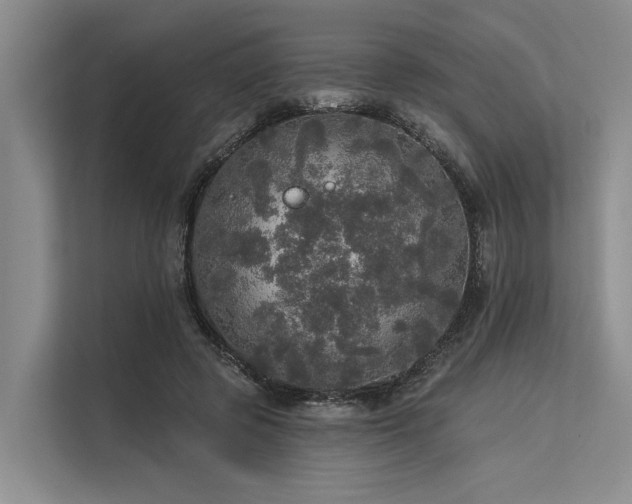 X0000113550545200909181201