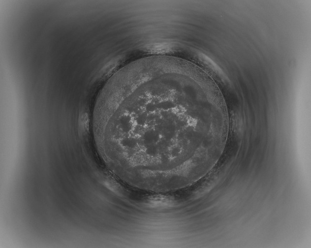 X0000113550549200909181201