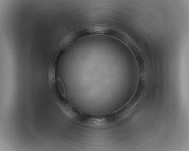 X0000113550552200909181201