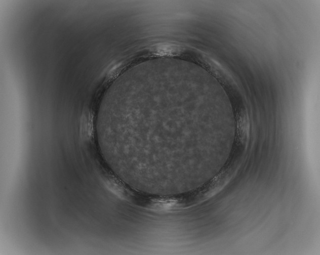 X0000113550554200909181201