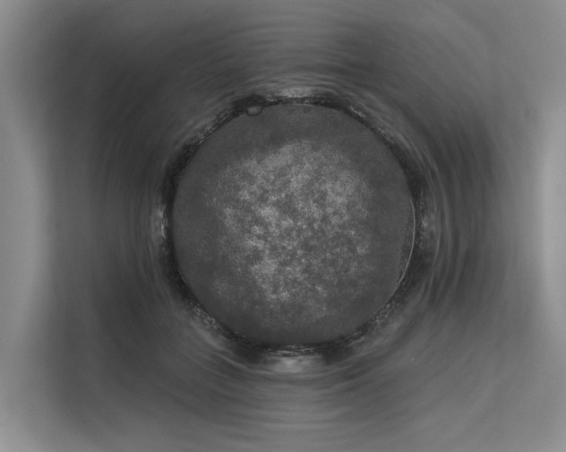 X0000113550555200909181201