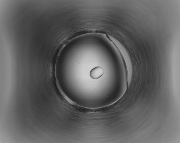 X0000113550556200909181201