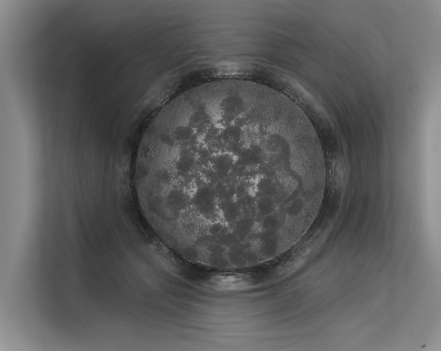 X0000113550557200909181201