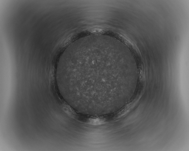 X0000113550561200909181201