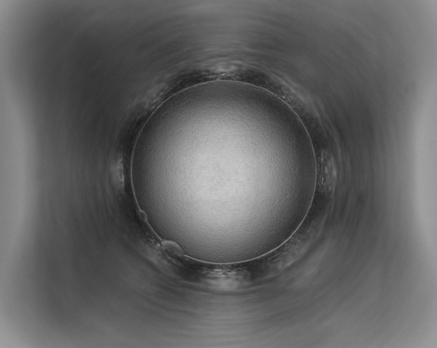 X0000113550562200909181201