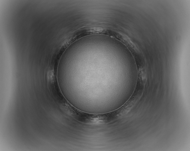 X0000113550564200909181201