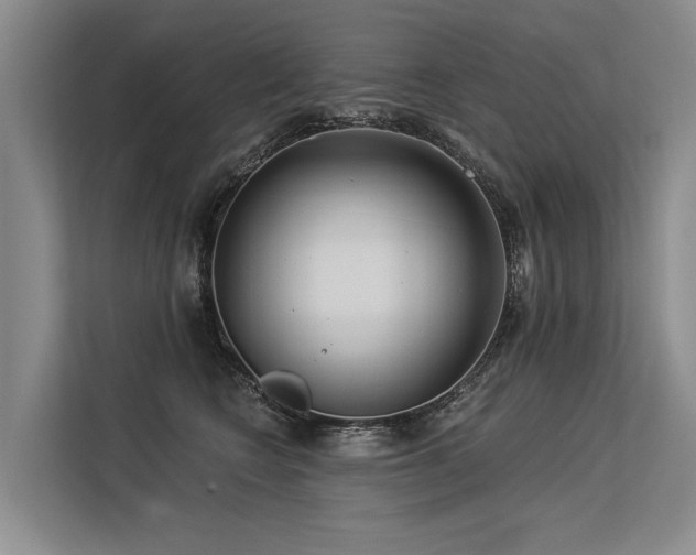 X0000113550566200909181201