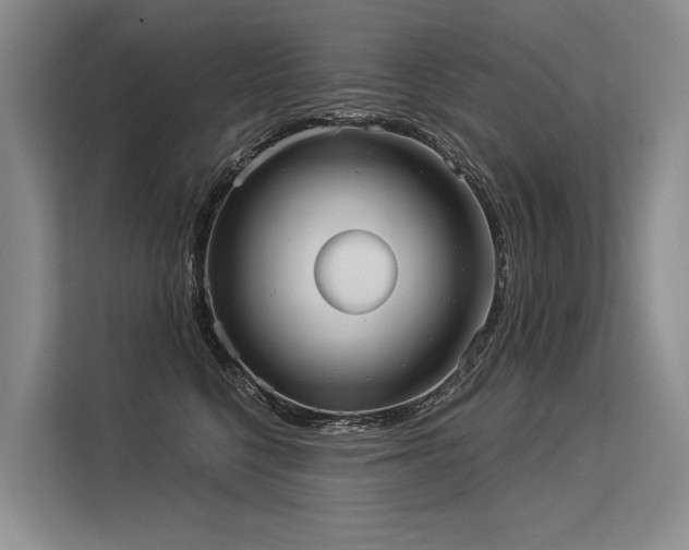 X0000113550568200909181202