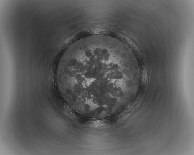 X0000113550569200909181202