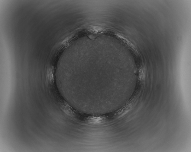 X0000113550570200909181202