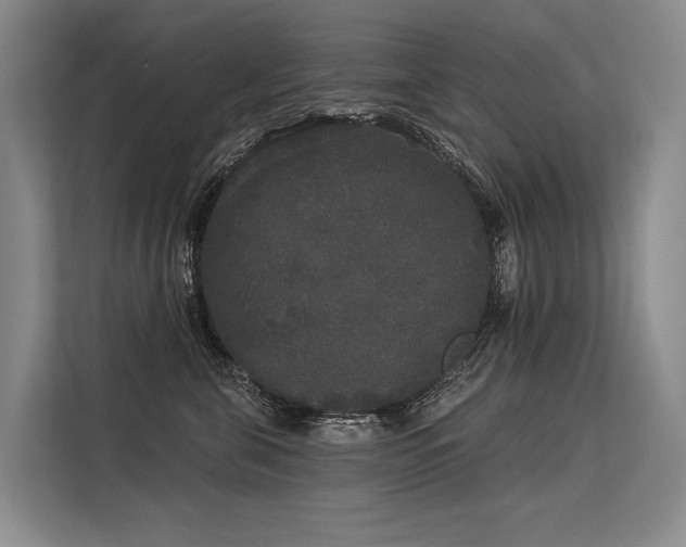 X0000113550571200909181202