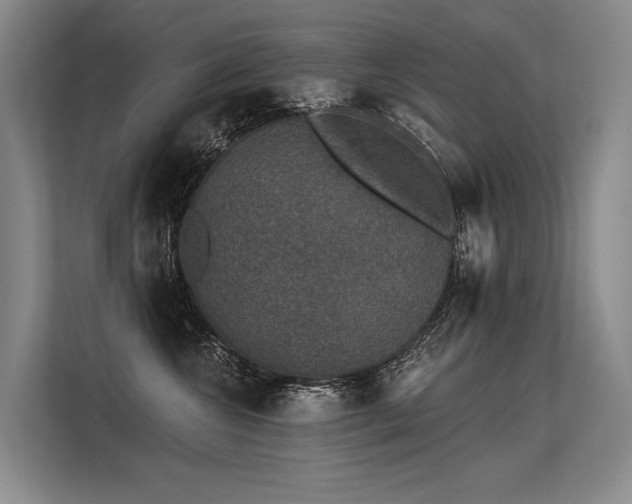 X0000113550572200909181202