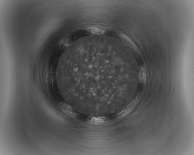 X0000113550573200909181202