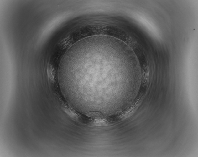 X0000113550574200909181202