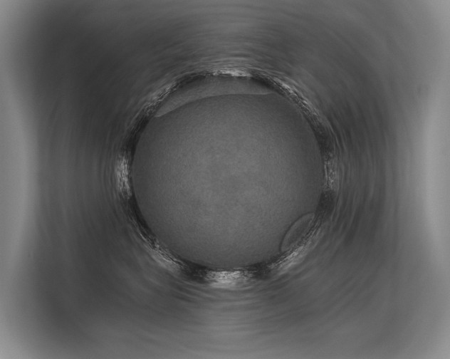 X0000113550575200909181202