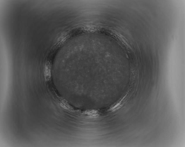 X0000113550576200909181202