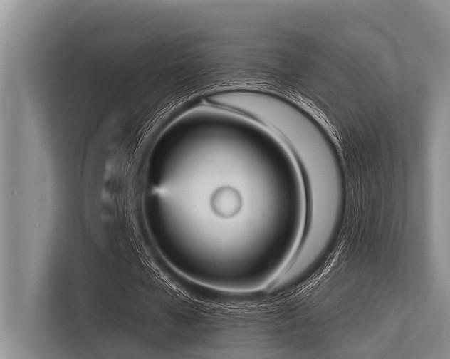 X0000113550577200909181201