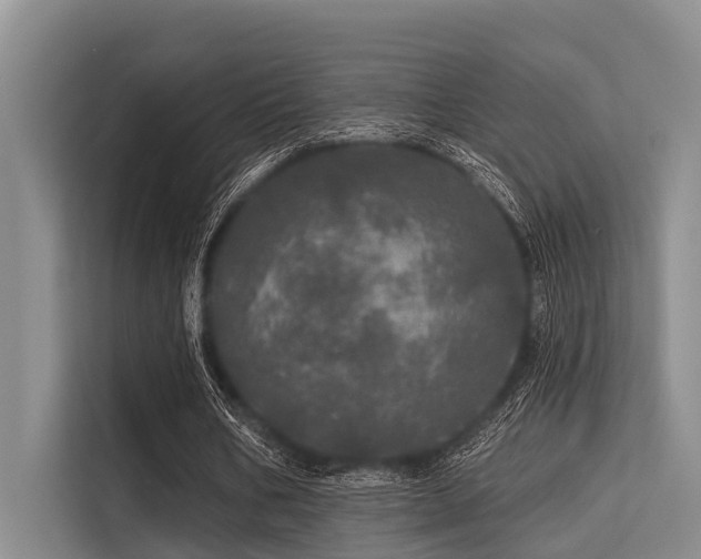 X0000113550578200909181201