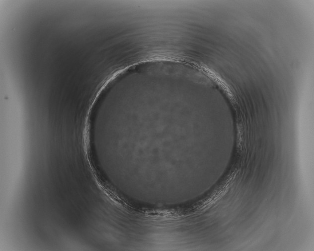 X0000113550580200909181201