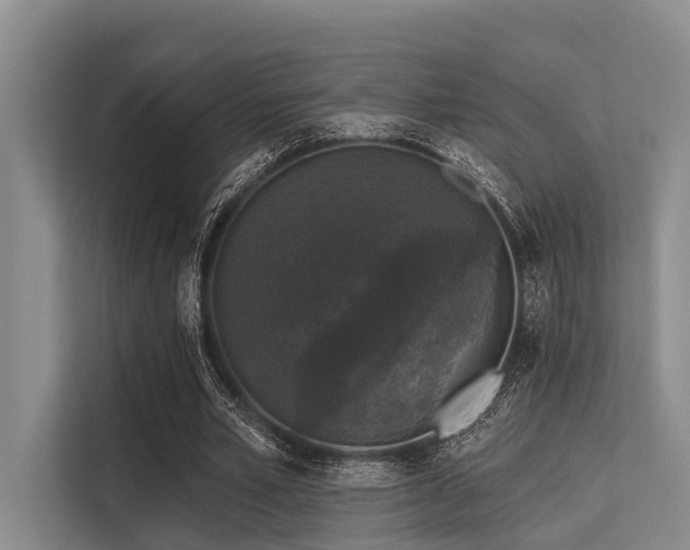 X0000113550581200909181201