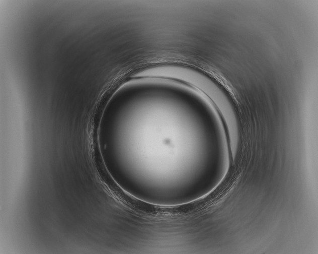 X0000113550585200909181201