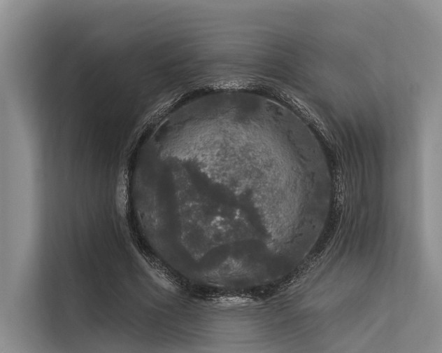 X0000113550586200909181201