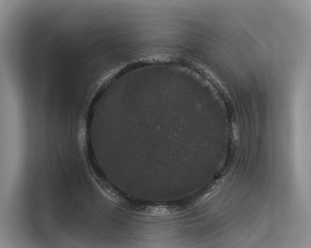 X0000113550588200909181201