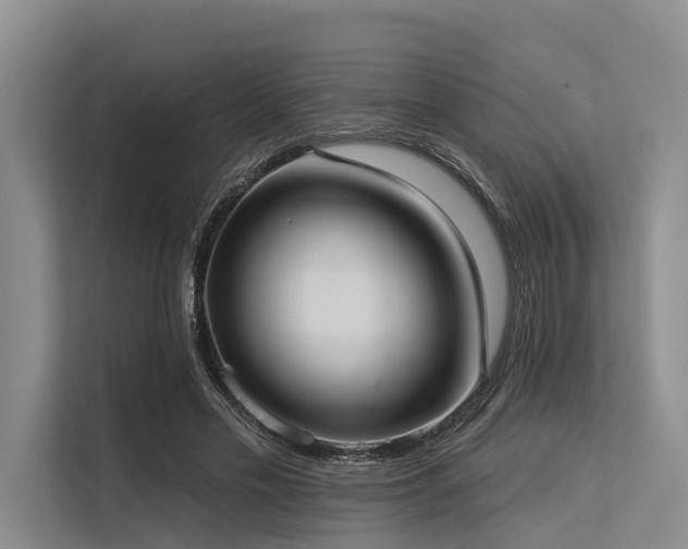 X0000113550589200909181201