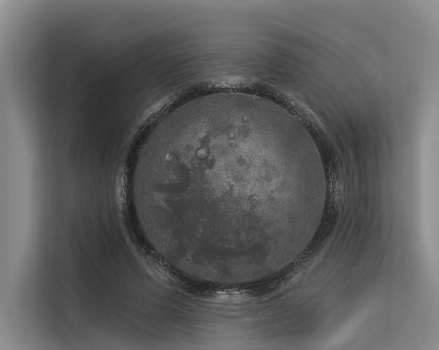 X0000113550591200909181201