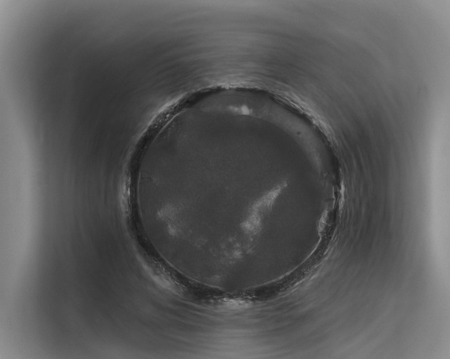 X0000113550592200909181201