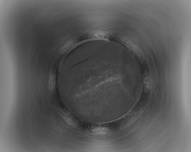 X0000113550593200909181201