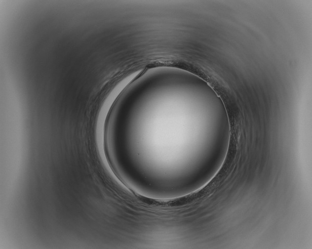 X0000113550595200909181201