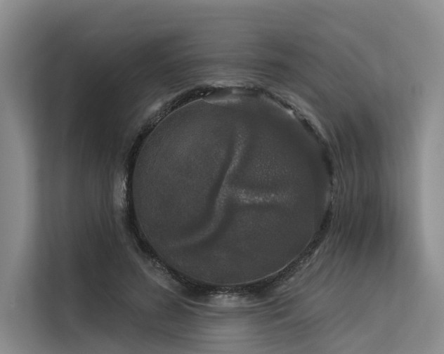 X0000113550596200909181201