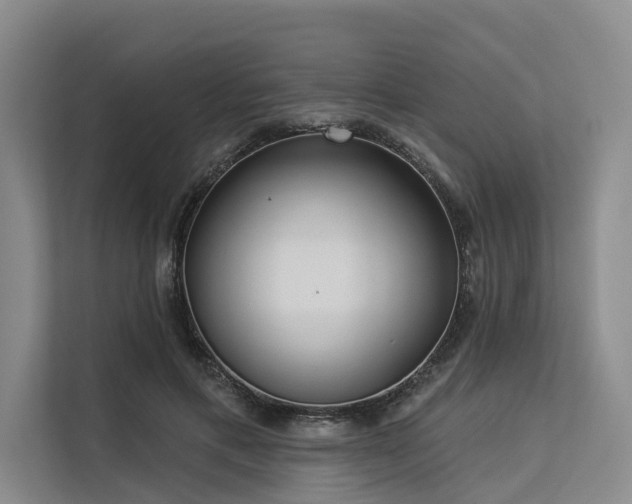 X0000113550597200909181201