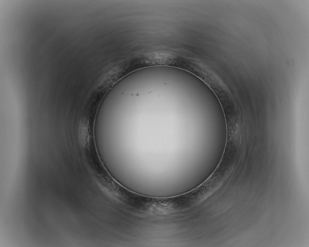 X0000113550599200909181201