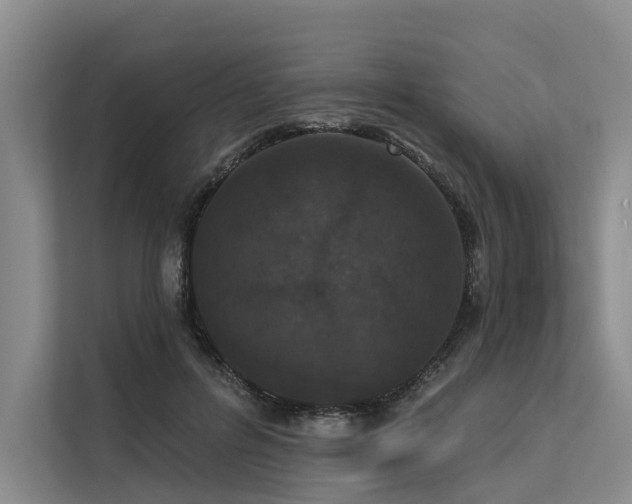 X0000113550600200909181201