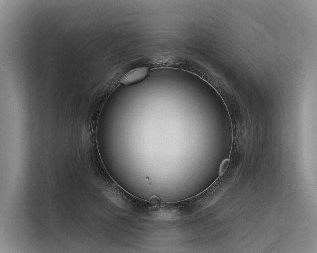 X0000113550601200909181201