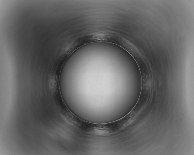 X0000113550603200909181201