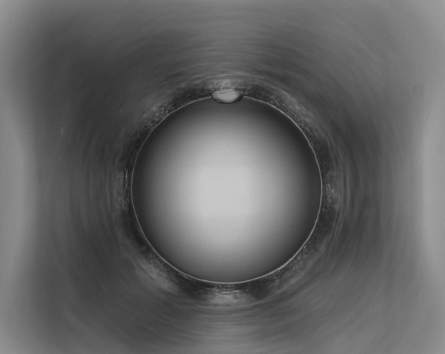 X0000113550605200909181201