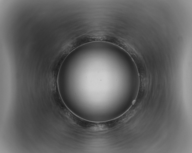 X0000113550609200909181200