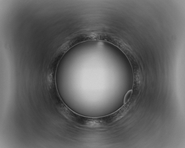 X0000113550611200909181200