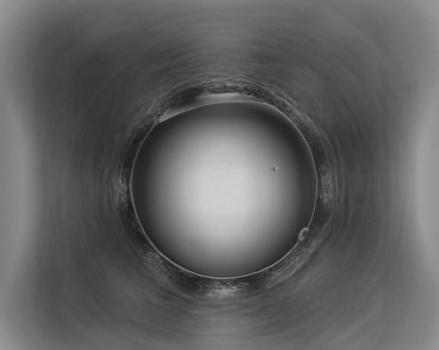 X0000113550613200909181200