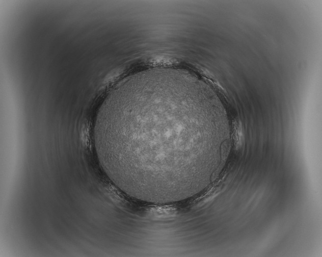 X0000113550619200909181200