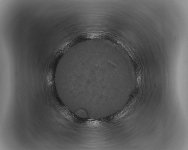 X0000113550620200909181200